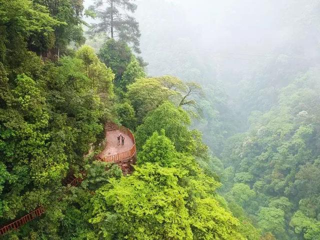又挖到一个避暑圣地,就在四川!一座低调的清凉界,美醉!