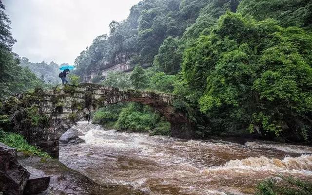 又挖到一个避暑圣地,就在四川!一座低调的清凉界,美醉!