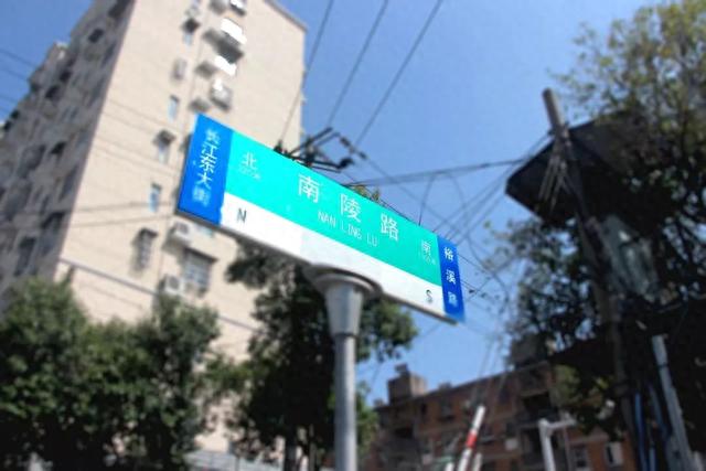 东门长大的侠们,没有人不晓得南陵路