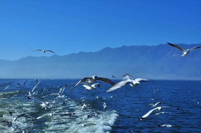 车次票价抢先看!广西9大城市动车即将直达大理!