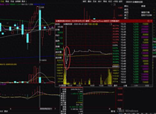 特大“杀猪盘”覆灭!70人被抓涉案2亿,股民血亏