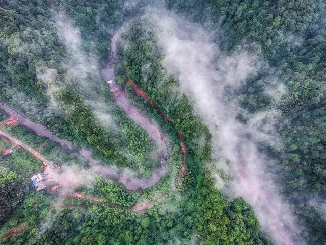 又挖到一个避暑圣地,就在四川!一座低调的清凉界,美醉!