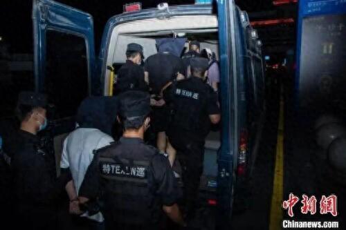 特大“杀猪盘”覆灭!70人被抓涉案2亿,股民血亏