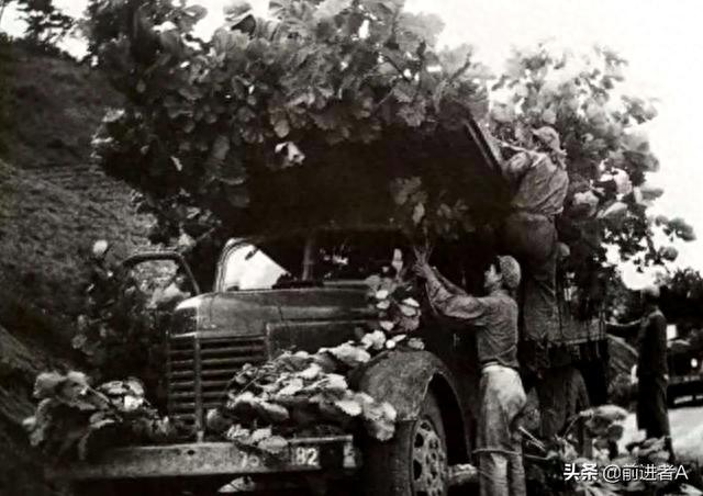祖籍美国,长在苏联,枝繁叶茂在中国,生产了51年的解放CA10卡车