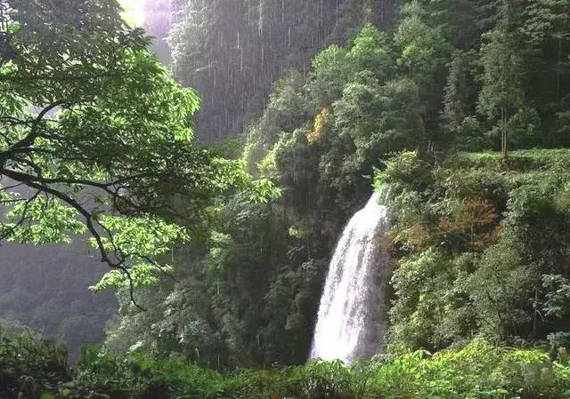 又挖到一个避暑圣地,就在四川!一座低调的清凉界,美醉!