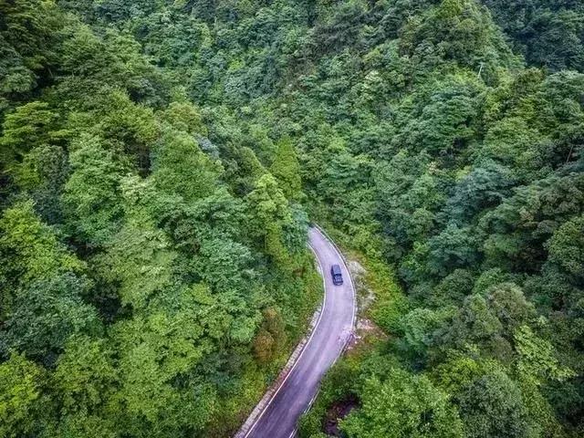 又挖到一个避暑圣地,就在四川!一座低调的清凉界,美醉!