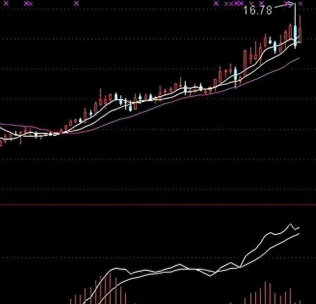 轻松捕捉底部黑马的工具,值得收藏!