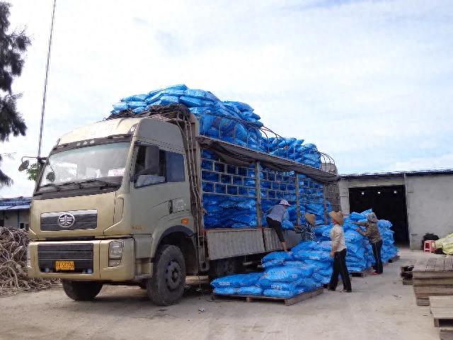 重磅!粤海成功上市!三大特质引人瞩目!郑石轩:打造世界一流水产饲料企业