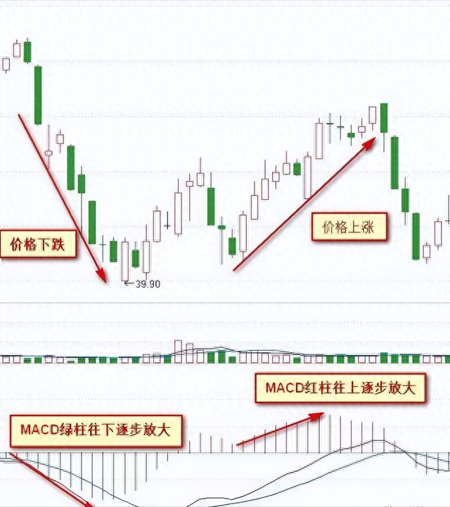 轻松捕捉底部黑马的工具,值得收藏!