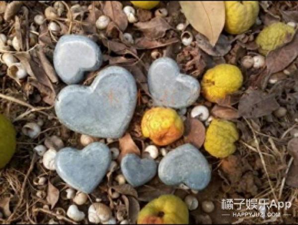 垃圾分类请听题,等把这几道题都答对了,再考虑去上海吧