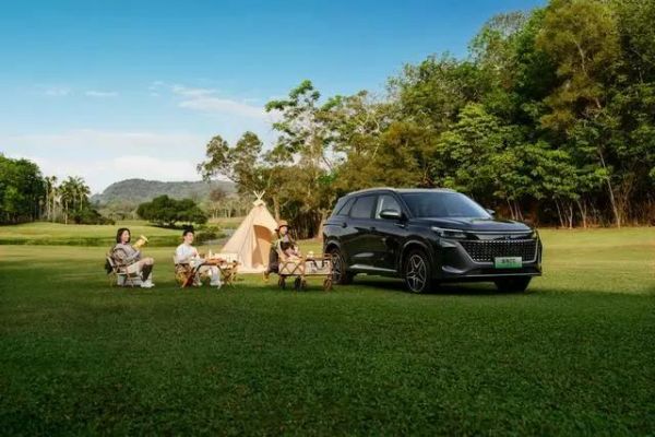 “电比油低”再起风云!9.98起!中型大七座插混蓝电E5荣耀版上市