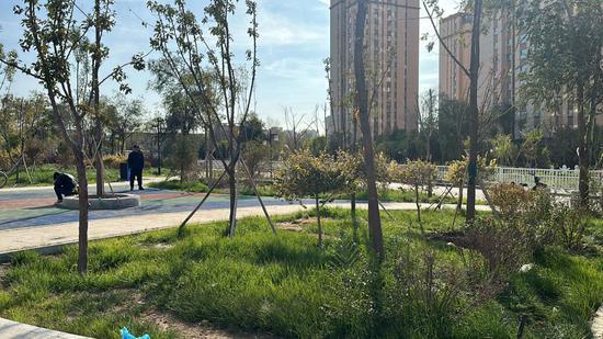 乌鲁木齐市米东区:家门口的小游园 休闲娱乐好去处