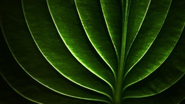 借女儿20万看病,把家里老房子给她还债,老家拆迁后她让我还十倍