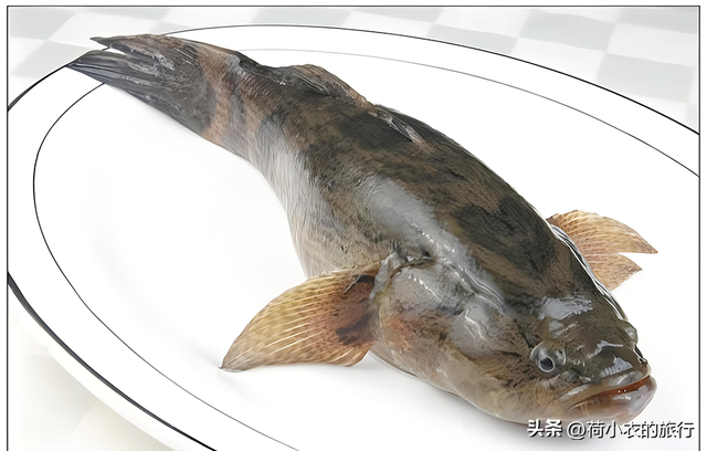 野生大笋壳,河鲜贵族,肉嫩刺少高蛋白,唯一的缺点就是太少了