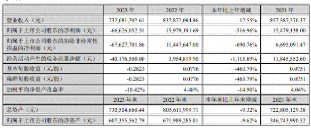 大为股份上市以来首亏 货币资金仅剩2.7亿元锂电项目后续如何建设受关注