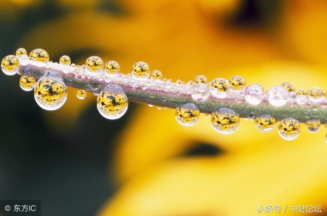 秋来了,浮躁渐次消褪