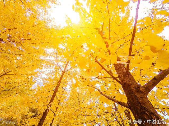 秋来了,浮躁渐次消褪