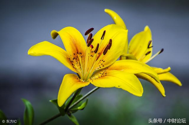 秋来了,浮躁渐次消褪