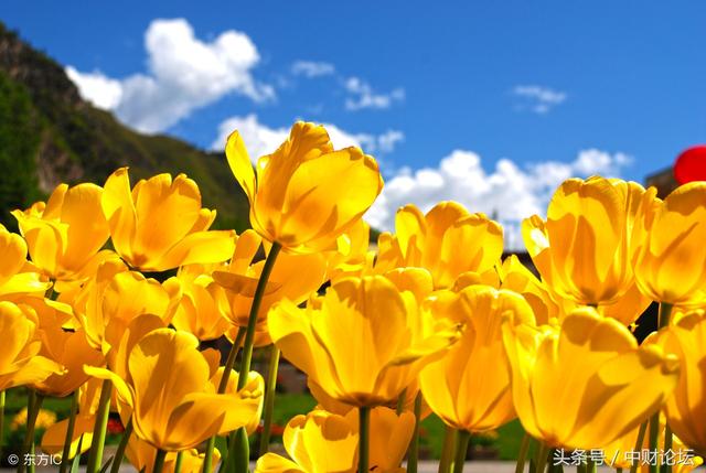 秋来了,浮躁渐次消褪