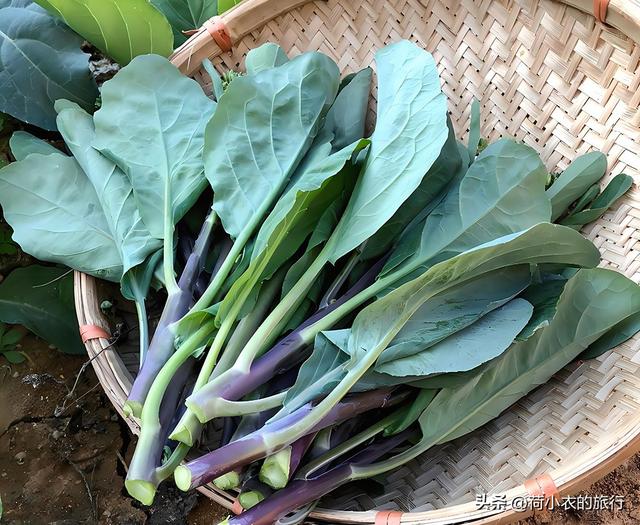 野生大笋壳,河鲜贵族,肉嫩刺少高蛋白,唯一的缺点就是太少了