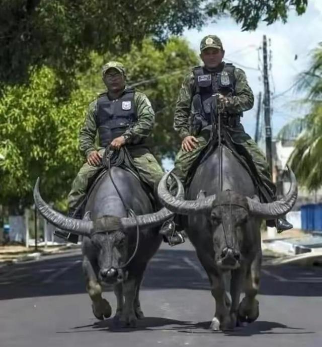 30张罕见的图片:肛门里塞得炸弹,肉欲横流的美军海报