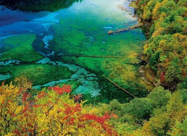 30张罕见的图片:肛门里塞得炸弹,肉欲横流的美军海报