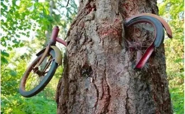 30张罕见的图片:肛门里塞得炸弹,肉欲横流的美军海报