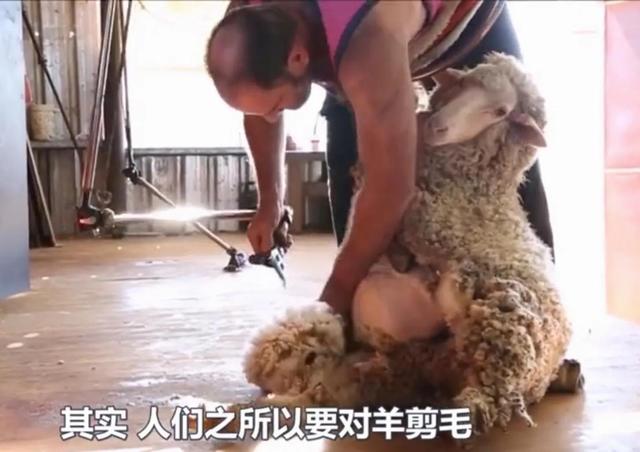 30张罕见的图片:肛门里塞得炸弹,肉欲横流的美军海报