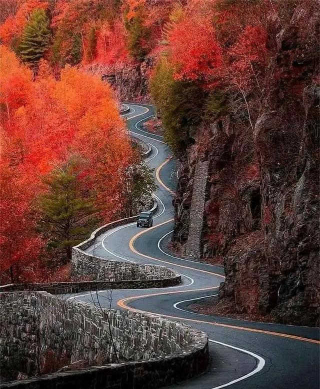 30张罕见的图片:肛门里塞得炸弹,肉欲横流的美军海报