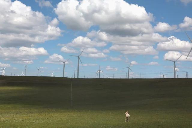 盘点那些围绕在我们身边的新能源产业!