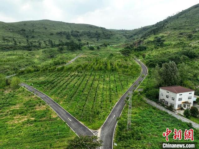 湖北襄阳:“石头山”上种出绿海