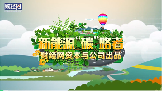 新能源“碳”路者|专访秦海岩:我理想中的中国风电