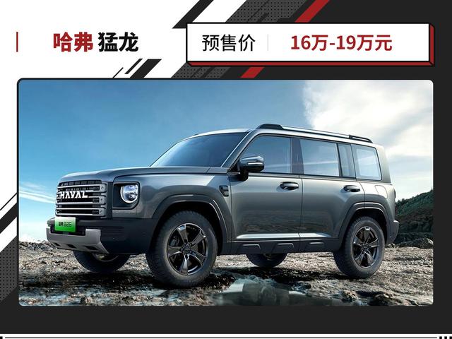 这些车型最低12.99万起!越野实力杠杠 还更省油!