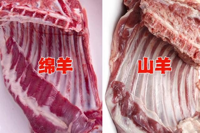 冬天买羊肉,到底买“绵羊”还是“山羊”?区别很大,弄懂再花钱
