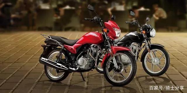 驾驶证d证开什么车?