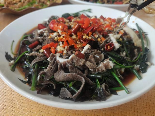 成都春节到西双版纳自驾行