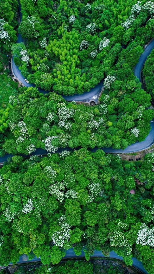 坐飞机去看海！上海直达这些绝美的城市只需1小时+