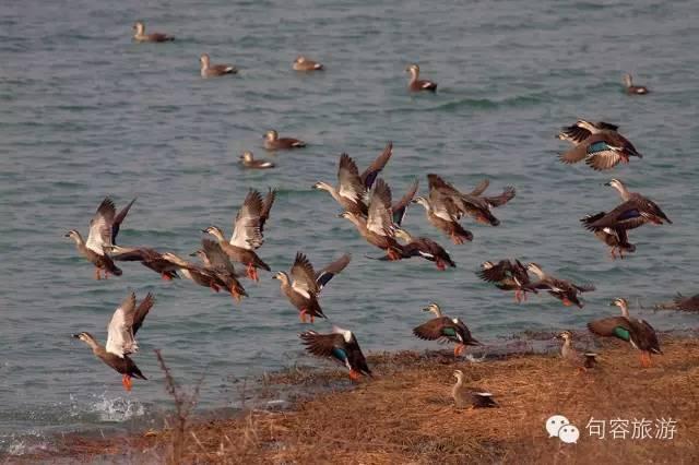 15个理由告诉你，为什么来句容？