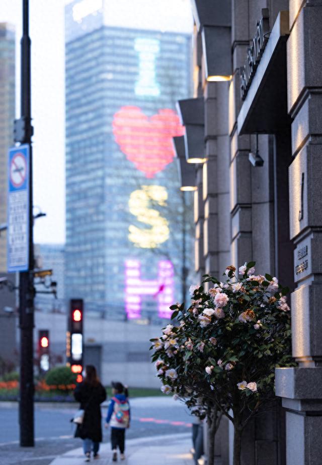 我在现场·照片背后的故事｜浦东封控后第二天，我回到上海……