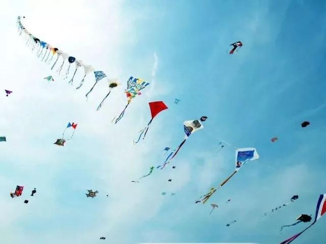 就要好果子！3.29禅通巴士邀你同游第二届嘉宝果采摘旅游文化节