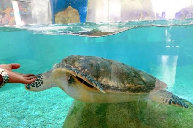 坐飞机去看海！上海直达这些绝美的城市只需1小时+