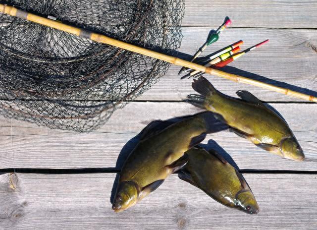 野钓大杀器！滑漂！专治大板鲫、大鲤、大草！赶紧换大鱼护吧！