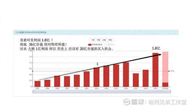 大傻瓜做价值投资（一二五）——电器仪表板块是否有猫腻