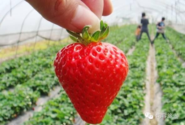 15个理由告诉你，为什么来句容？