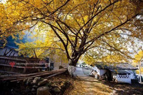 汉十高铁将迎首次春运，首日车票双12开抢