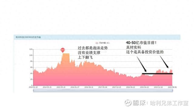 大傻瓜做价值投资（一二五）——电器仪表板块是否有猫腻