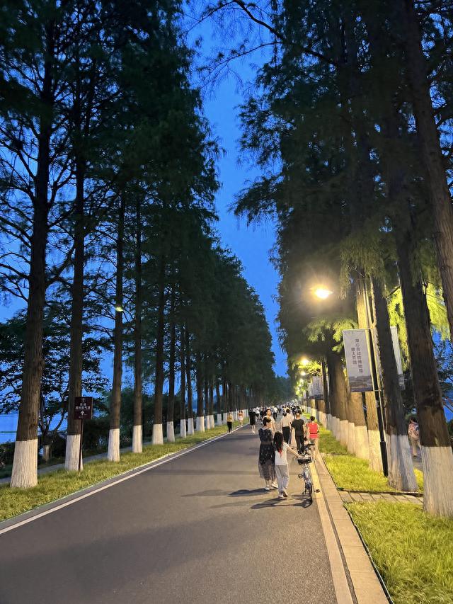 City Ride！五座城市的共享单车体验评测