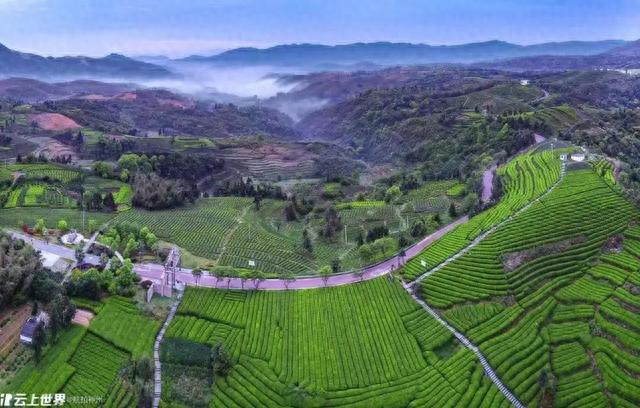 坐飞机去看海！上海直达这些绝美的城市只需1小时+