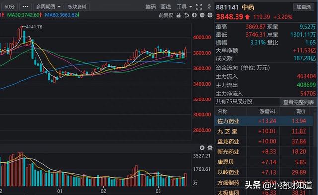 政策密集加码！中药板块异动走强，机构重仓的10大中药股名单梳理