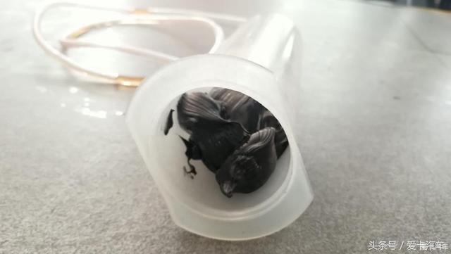 出现不定时异响，众泰T600半轴球笼加油！